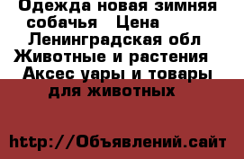 Одежда новая зимняя собачья › Цена ­ 600 - Ленинградская обл. Животные и растения » Аксесcуары и товары для животных   